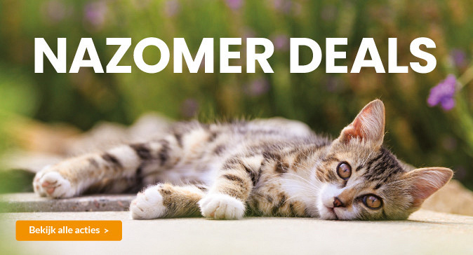 slider nazomer 2025 674x364