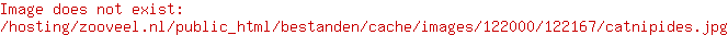 Beeztees Catnip Hengel Cactus Itou