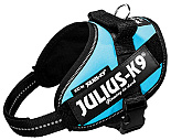 Julius K9 IDC Powerharness aquamarine