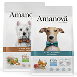Amanova Hond Droogvoer 2 kg