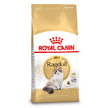 Royal Canin Kattenvoer Ragdoll Adult 2 kg