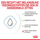 Royal Canin Hondenvoer Babydog Milk 400 gr