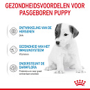 Royal Canin Hondenvoer Babydog Milk 400 gr