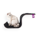 Petrebels Wall of Rebels Scratch 70 Wengé