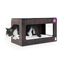 Petrebels Wall of Rebels Box 60 Wengé