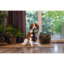 Beeztees Hondenspeelgoed Jungle Mats