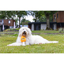 Beeztees Hondenspeelgoed Dog Apawrol