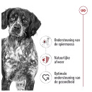 Royal Canin Hondenvoer Medium Adult Loaf 410 gr