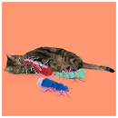 Coockoo Kattenspeelgoed Razzle Ruby Assorti