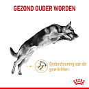 Royal Canin hondenvoer German Shepherd Adult 5+ 12 kg