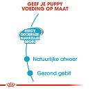 Royal Canin Hondenvoer Starter Mousse 195 gr