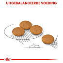 Royal Canin hondenvoer Derma-comfort  Mini 8 kg