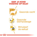 Royal Canin Hondenvoer Chihuahua Adult 12 x 85 gr