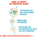 Royal Canin Hondenvoer Chihuahua Puppy 500 gr