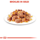 Royal Canin Kattenvoer Instinctive in Jelly <br>12 x 85 gr