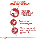 Royal Canin Kattenvoer Instinctive in Jelly <br>12 x 85 gr