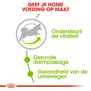 Royal Canin Hondenvoer<br> X-Small Adult 8+ 3 kg