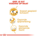 Royal Canin Kattenvoer Siamese Adult 2 kg