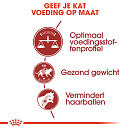Royal Canin Kattenvoer Fit 32 2 kg