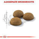 Royal Canin Kattenvoer Indoor Long Hair 10 kg