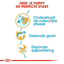Royal Canin Hondenvoer Jack Russell Puppy 3 kg