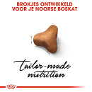 Royal Canin Kattenvoer Norwegian Forest Cat Adult 10 kg