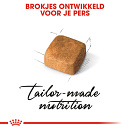 Royal Canin Kattenvoer Persian Kitten 10 kg