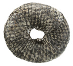 TRIXIE Denta Fun Fish Chewing Rings <br>10 cm 110 gr