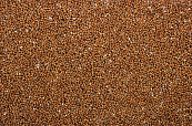Milletzaad Rood 1 kg