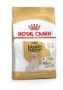 Royal Canin Hondenvoer Labrador Retriever Adult 5+ 3 kg