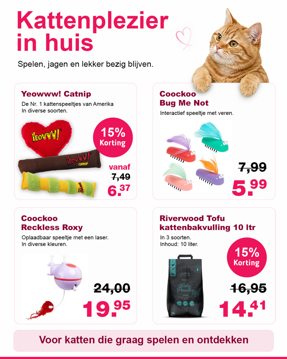 Zooveel voor Dieren