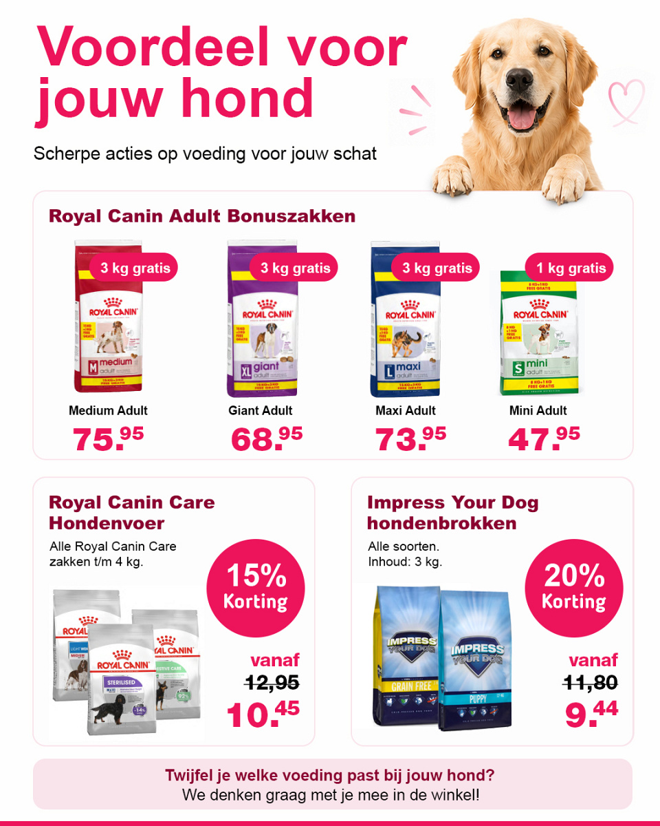 Zooveel voor Dieren