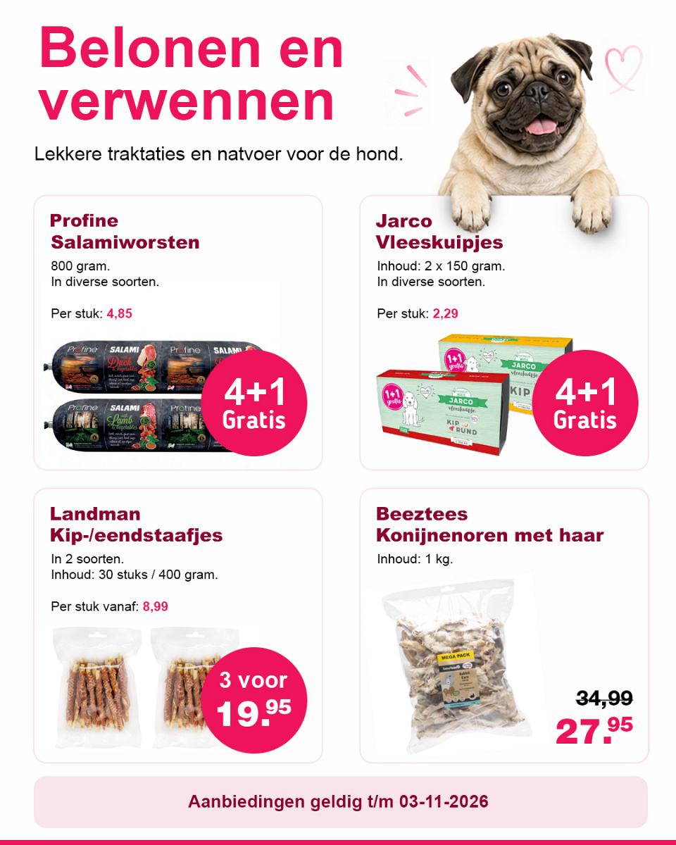 Zooveel voor Dieren