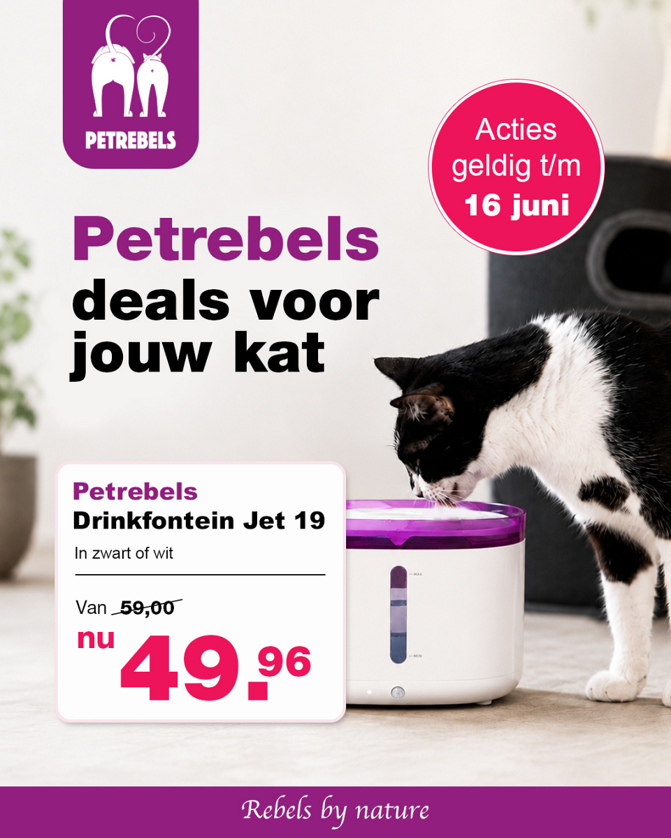 Zooveel voor Dieren