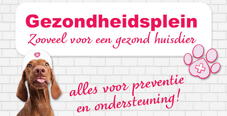 Gezondheidsplein