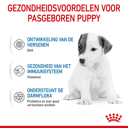 Royal Canin Hondenvoer Babydog Milk 400 gr