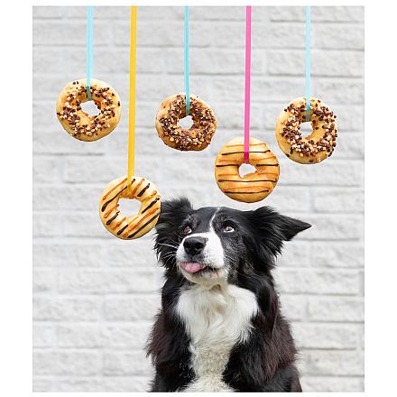 TRIXIE Donuts Ø 10 cm Assorti