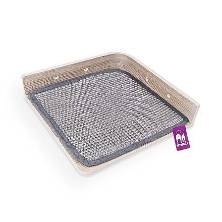 Petrebels Wall of Rebels Corner Lounge 35 Old Grey