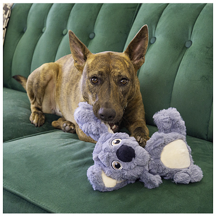 Kong Scrumplez Koala M