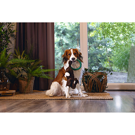 Beeztees Hondenspeelgoed Jungle Mats