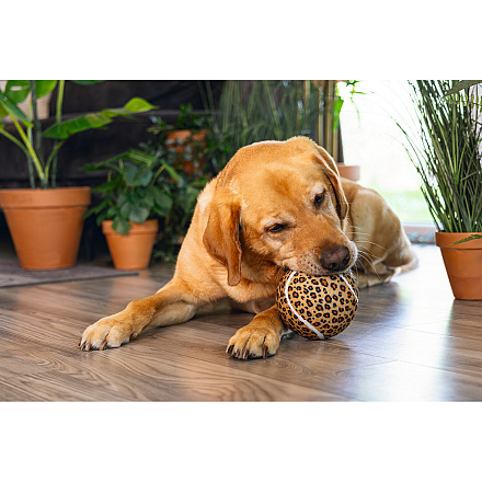 Beeztees Hondenspeelgoed Jungle Bal Panter