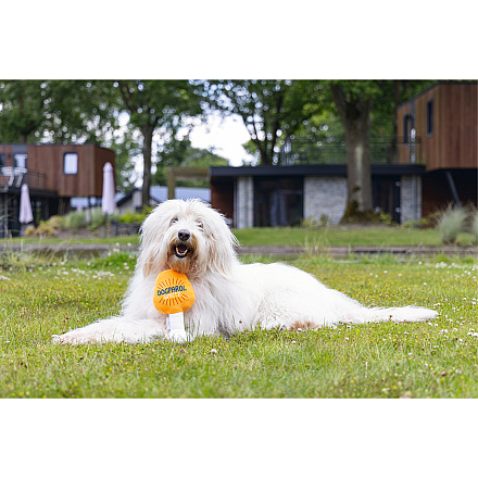 Beeztees Hondenspeelgoed Dog Apawrol
