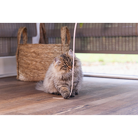 Beeztees Kittenhengel Sienna