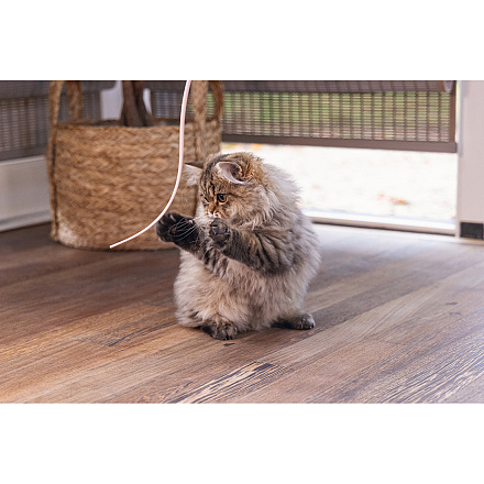 Beeztees Kittenhengel Sienna