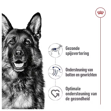 Royal Canin Hondenvoer Maxi Adult Loaf 410 gr