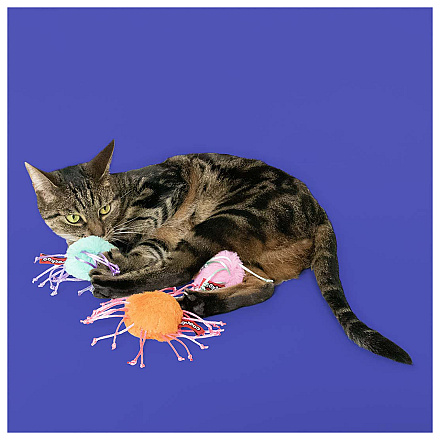 Coockoo Kattenspeelgoed Rolly Ross Assorti