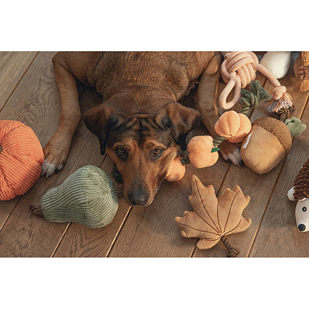 Beeztees Hondenspeelgoed Blad met Touw