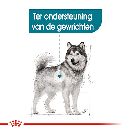 Royal Canin Hondenvoer Joint Care Maxi 10 kg