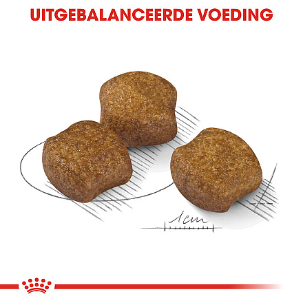 Royal Canin Hondenvoer Dental Care Medium 10 kg