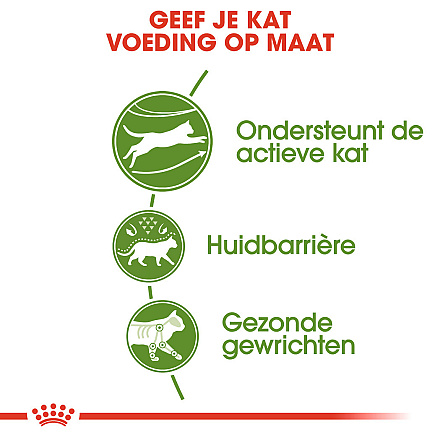 Royal Canin Kattenvoer Outdoor 400 gr